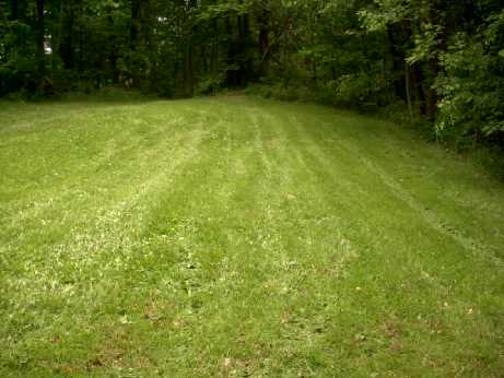 Middle food plot